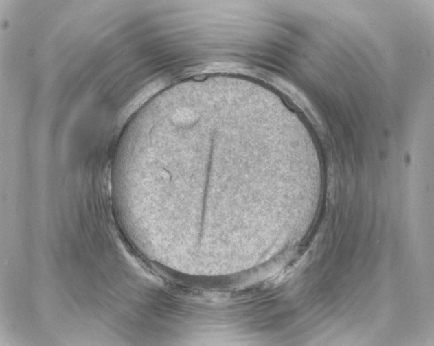 X0000087741241200706041029