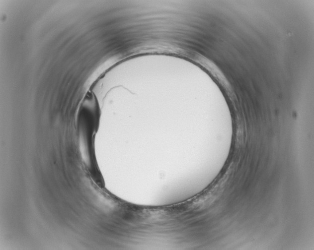 X0000087741242200706041029