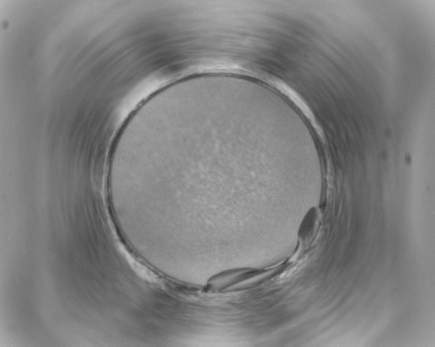 X0000087741245200706041029