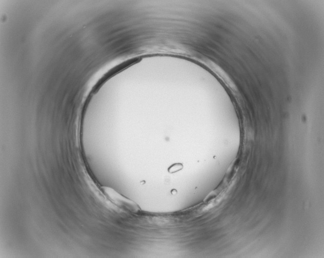 X0000087741246200706041029