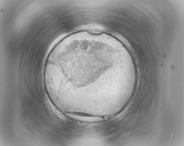 X0000087741248200706041029