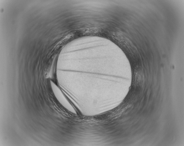 X0000087741250200706041028