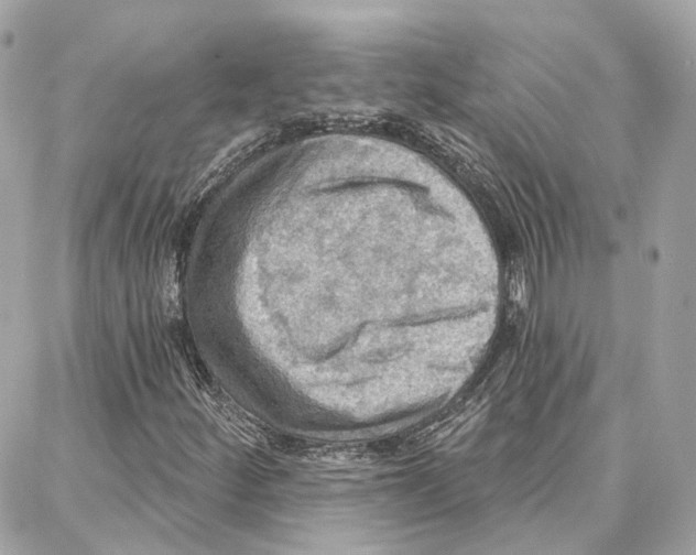 X0000087741252200706041028