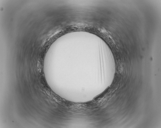 X0000087741253200706041028