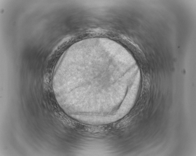 X0000087741254200706041028