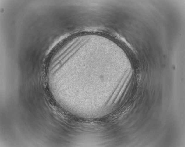 X0000087741256200706041028