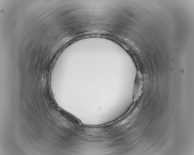 X0000087741257200706041028