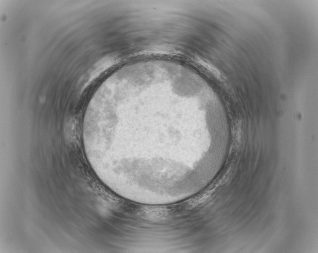 X0000087741258200706041028