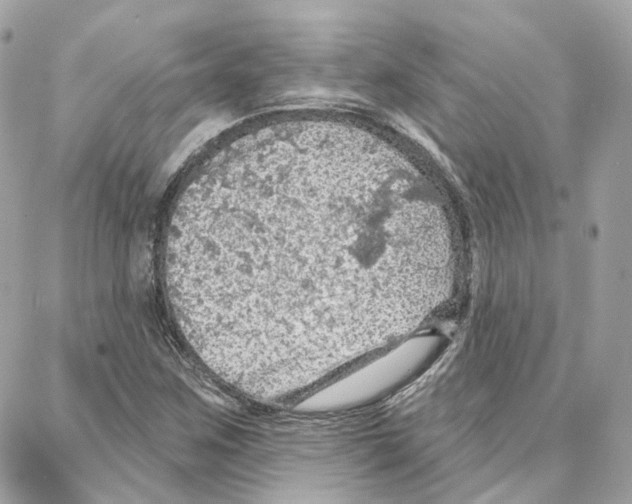 X0000087741259200706041028