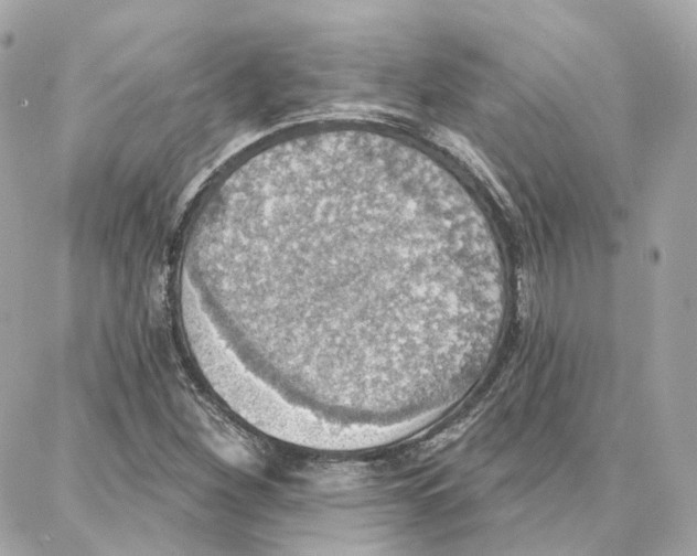 X0000087741260200706041028