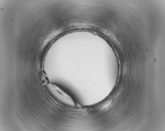 X0000087741261200706041028