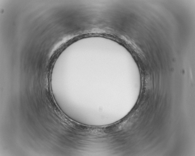 X0000087741262200706041028