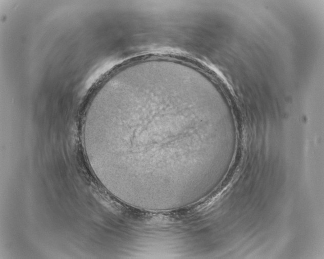 X0000087741263200706041028