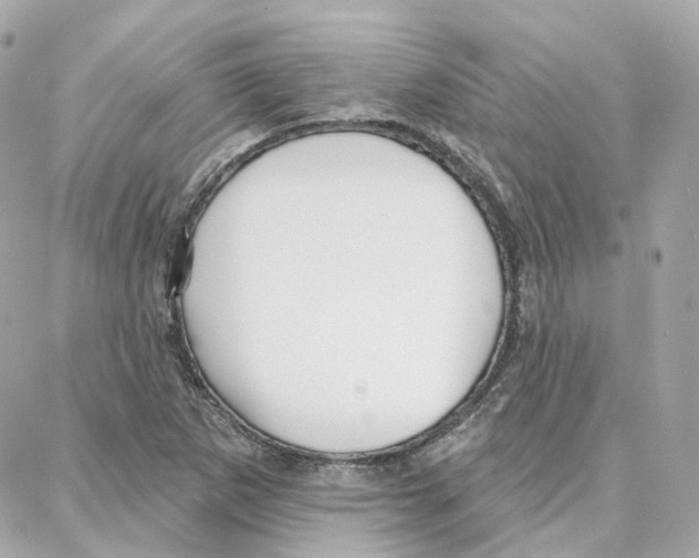 X0000087741265200706041028