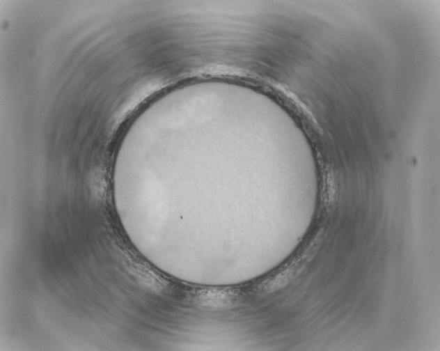 X0000087741266200706041028