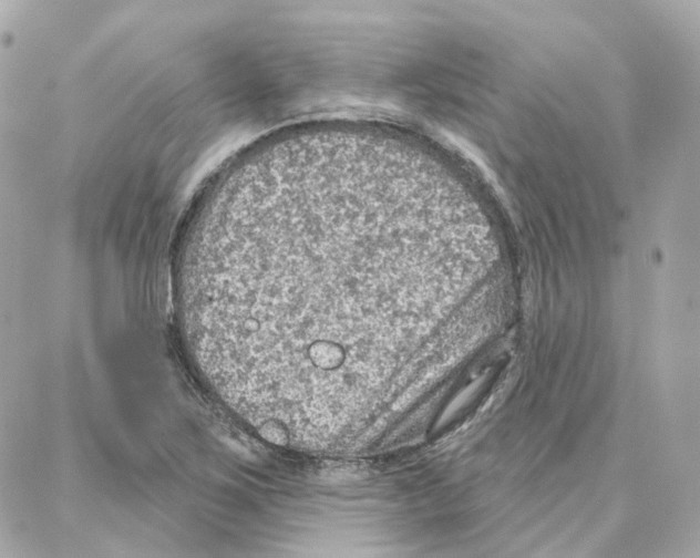 X0000087741267200706041028