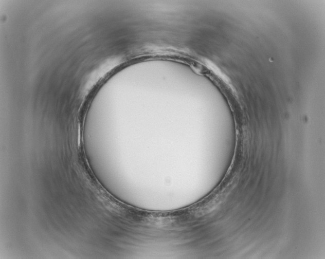 X0000087741269200706041028