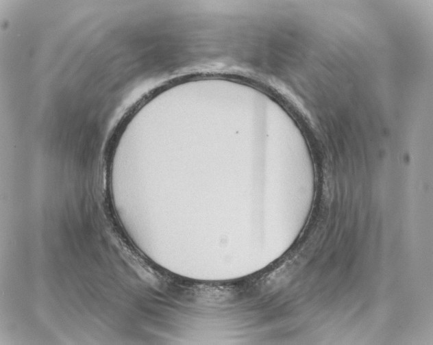 X0000087741270200706041028