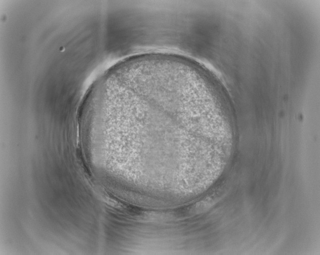 X0000087741271200706041028