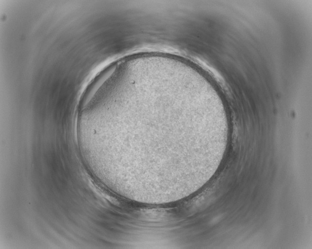 X0000087741272200706041028