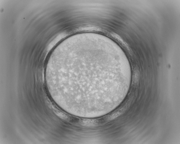 X0000087741274200706041028