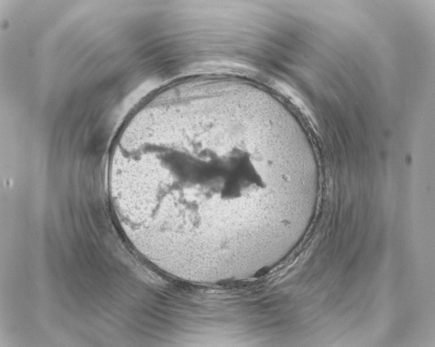 X0000087741275200706041028