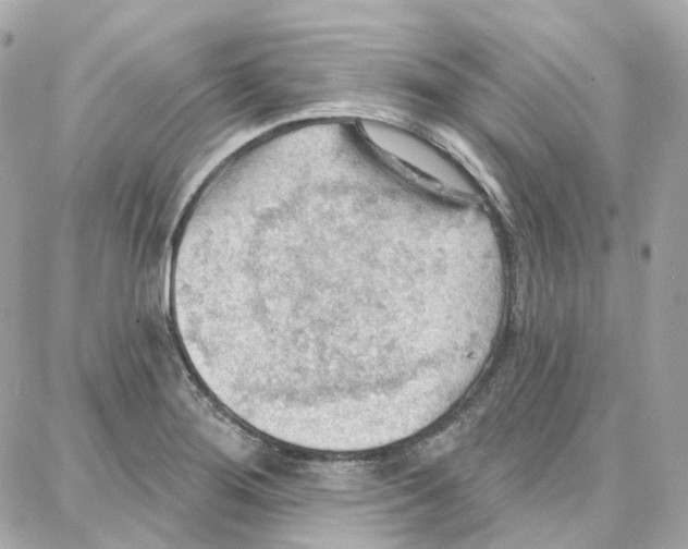 X0000087741276200706041028