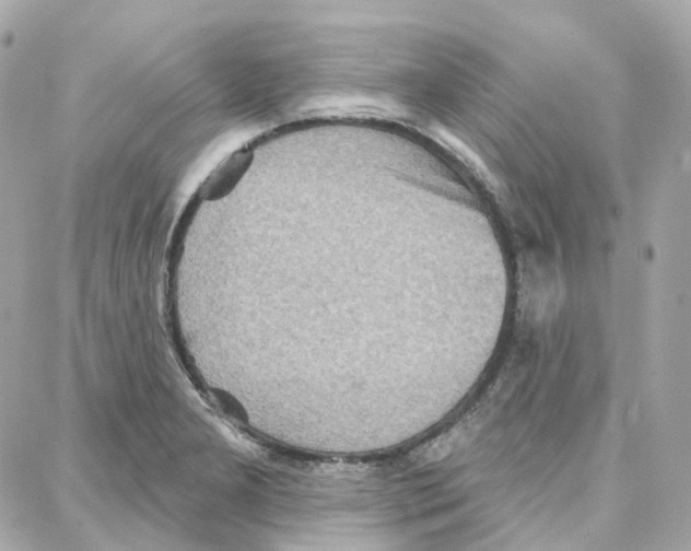 X0000087741277200706041028