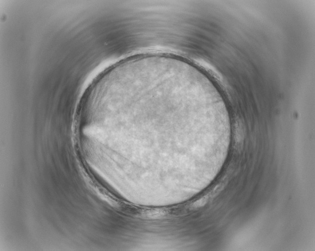 X0000087741278200706041028