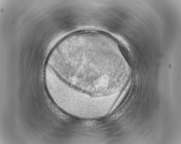 X0000087741279200706041027