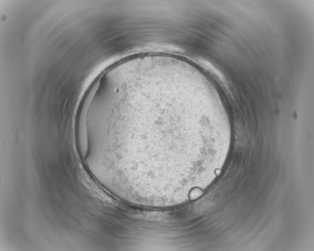 X0000087741280200706041027