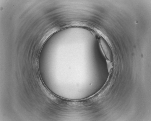 X0000087741281200706041027