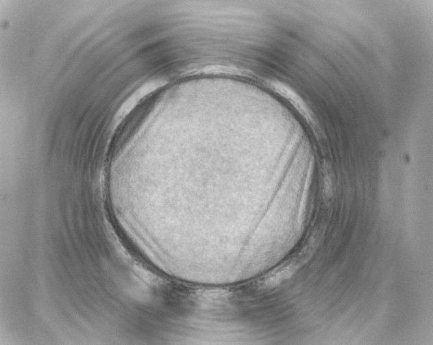 X0000087741282200706041027