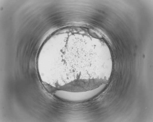 X0000087741283200706041027