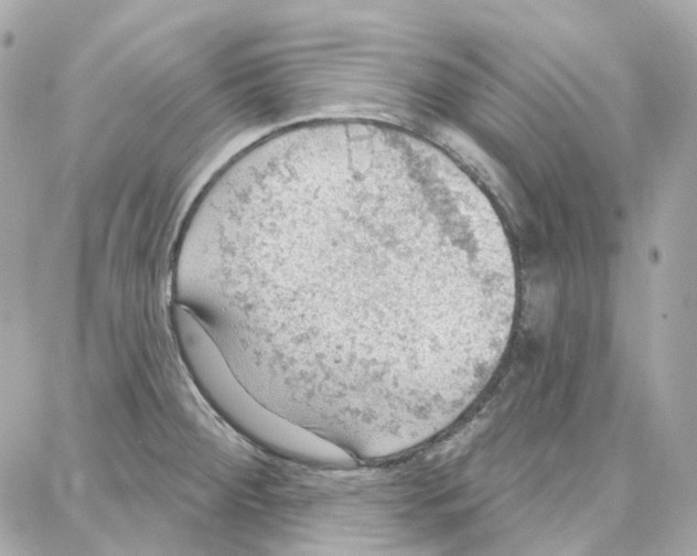 X0000087741284200706041027