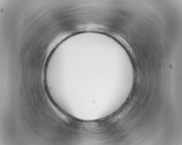 X0000087741285200706041027