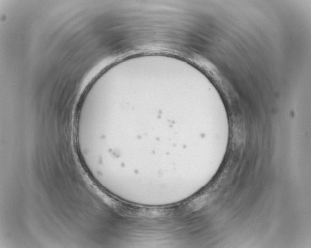 X0000087741286200706041027