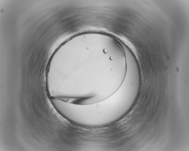 X0000087741287200706041027