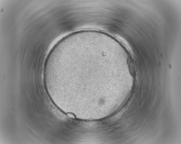 X0000087741288200706041027