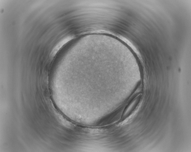 X0000087741289200706041027