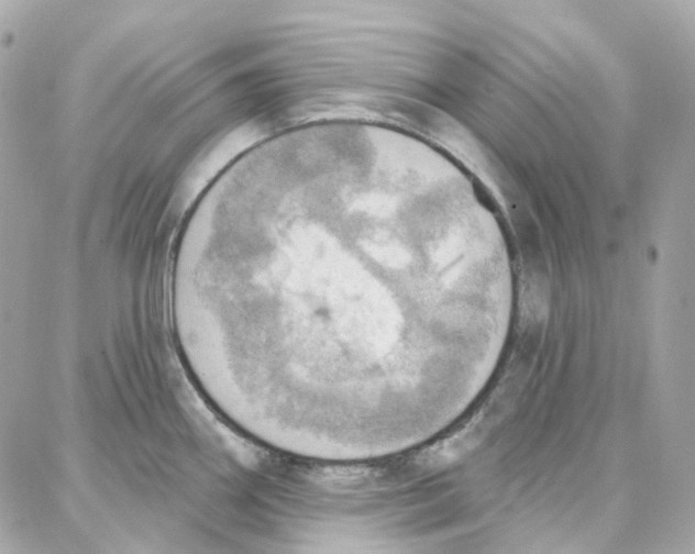 X0000087741290200706041027