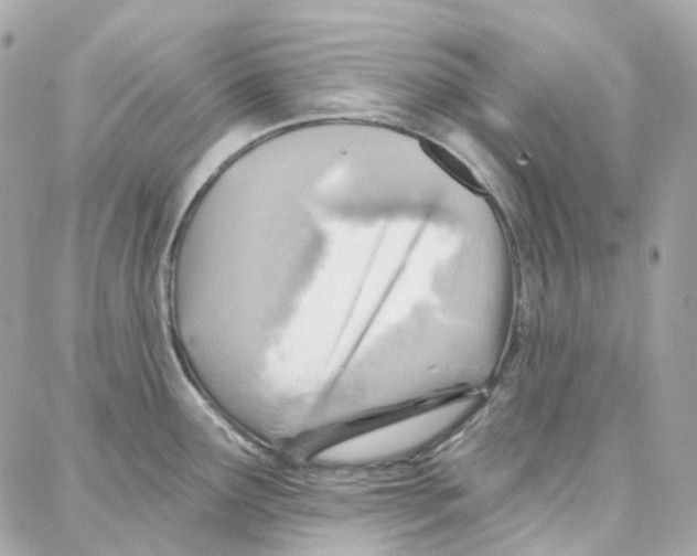 X0000087741291200706041027