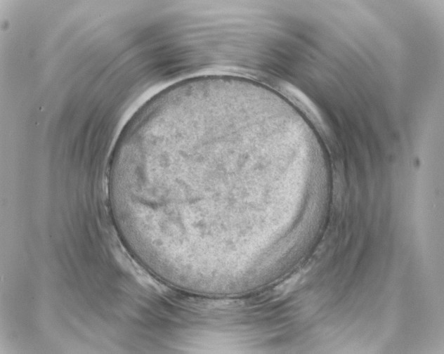 X0000087741292200706041027