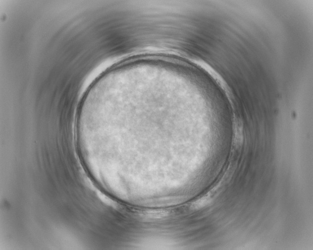 X0000087741294200706041027