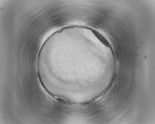 X0000087741295200706041027