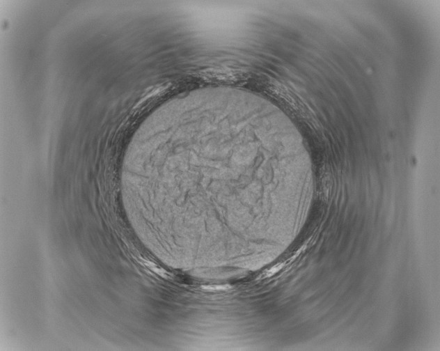 X0000087741297200706041026