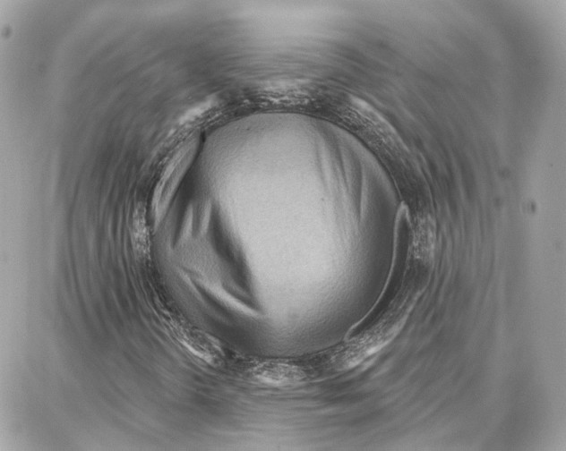 X0000087741298200706041026