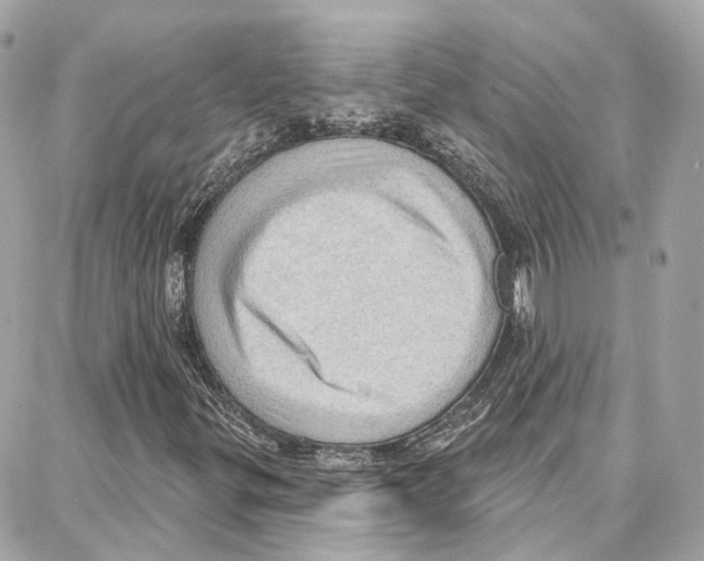 X0000087741299200706041026