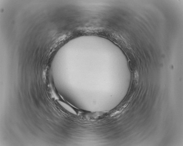 X0000087741300200706041026