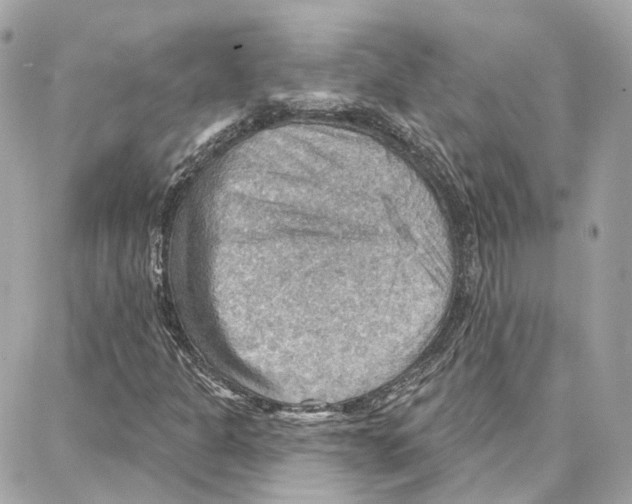 X0000087741301200706041026